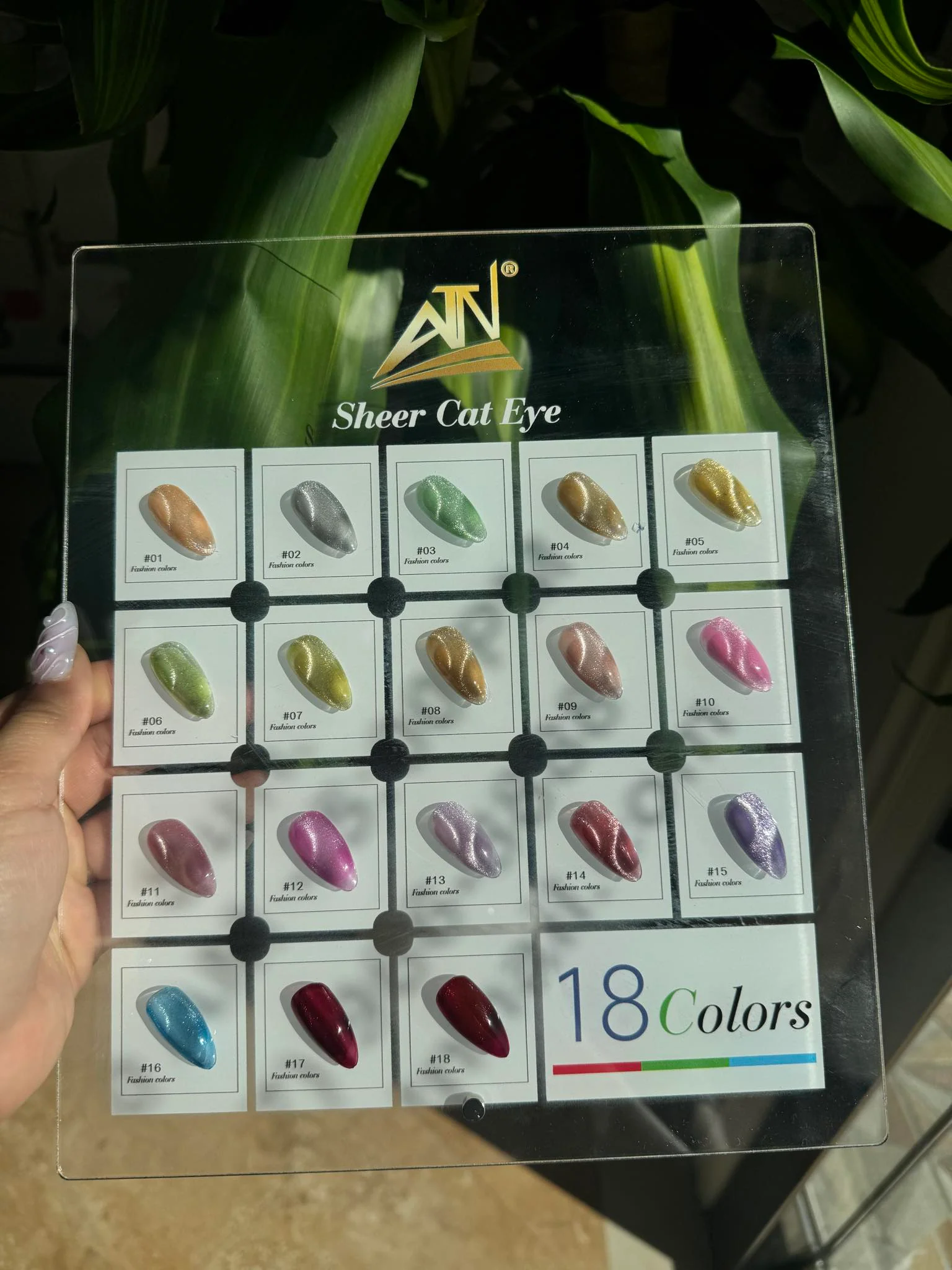 Sheer Cat Eye - Set 18 Colors - Image 7